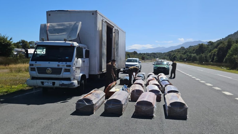 Operação de fiscalização conduzida pela polícia militar chilena, os Carabineros — Foto: Reprodução/Facebook