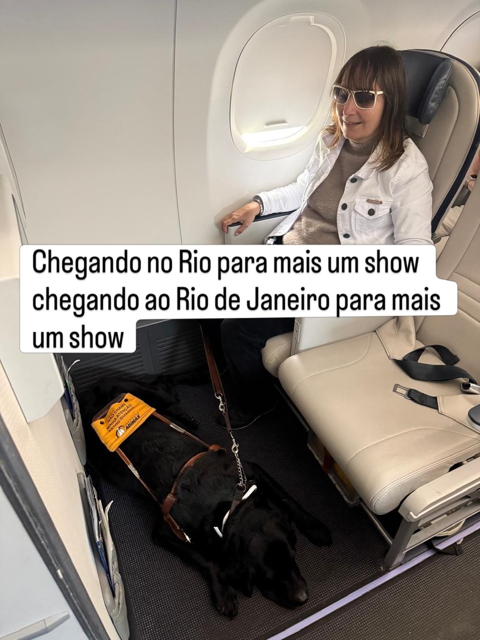 Cantora Kátia viaja de avião com cão-guia para show no Rio — Foto: reprodução/ instagram