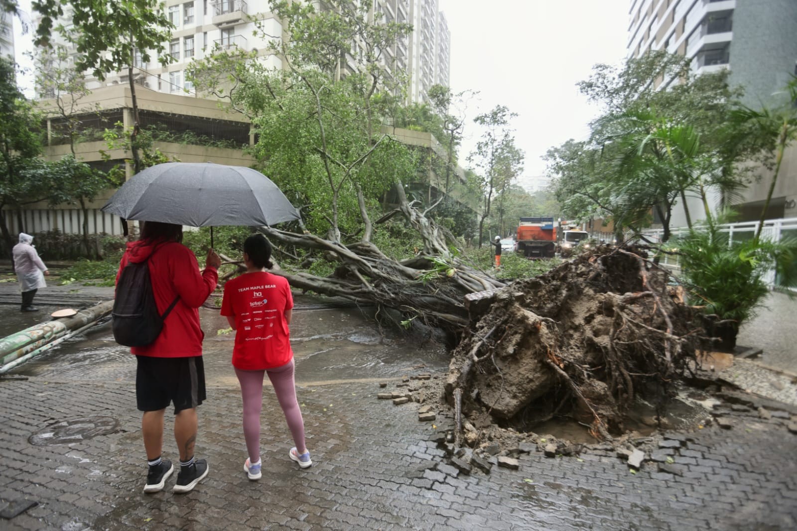 Primavera chega ao Rio com alertas para rajadas fortes de vento, pancadas de chuva e ressaca; árvore cai em Botafogo