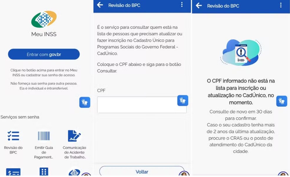 Não é preciso fazer login no Meu INSS. Basta ir em revisão do BPC e digitar o CPF — Foto: Reprodução