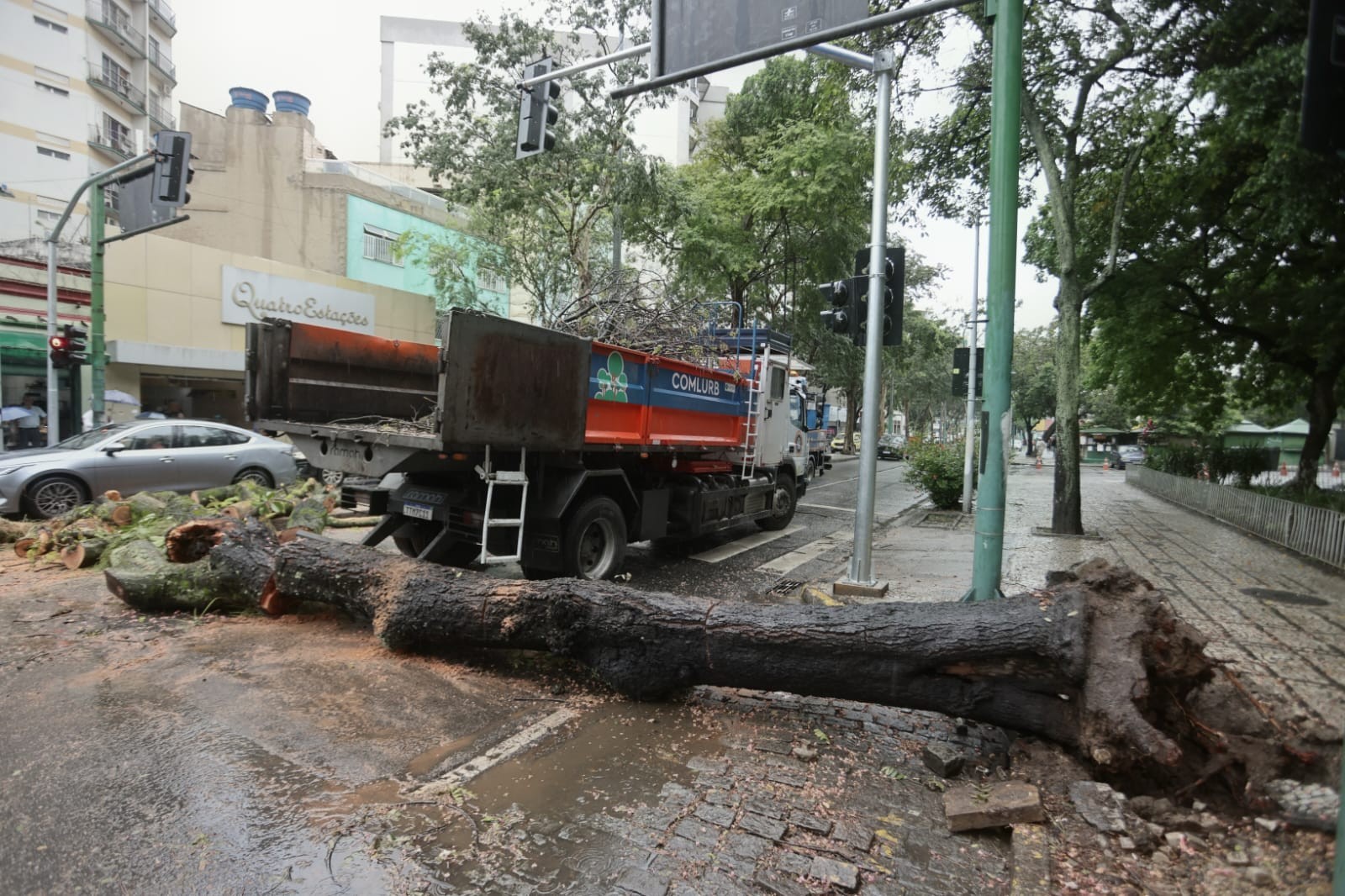 Queda de árvore de grande porte em Vila Isabel provoca bloqueios no Boulervard 28 de Setembro
