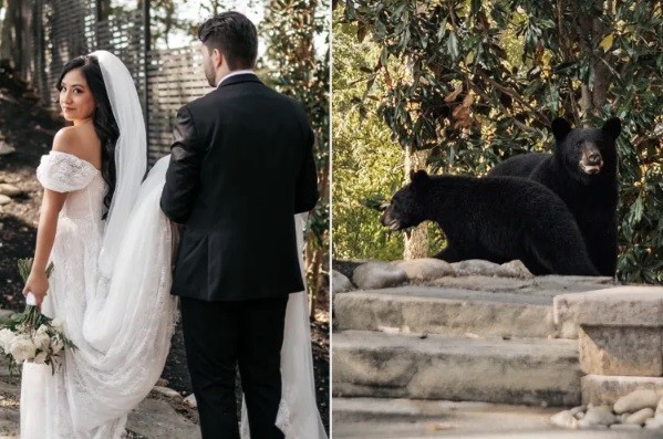 Cerimônia de casamento é interrompida com a chegada de 'penetras'
