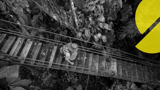 Na Serra dos Órgãos, a biodiversidade floresce em cores e encanta Na Serra dos Órgãos, a biodiversidade floresce em cores e encanta