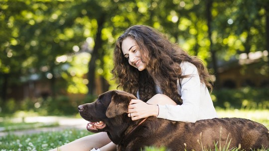 Estudo com quase 3 mil tutores e seus cachorros revela o que fortalece o vínculo entre eles Estudo com quase 3 mil tutores e seus cachorros revela o que fortalece o vínculo entre eles