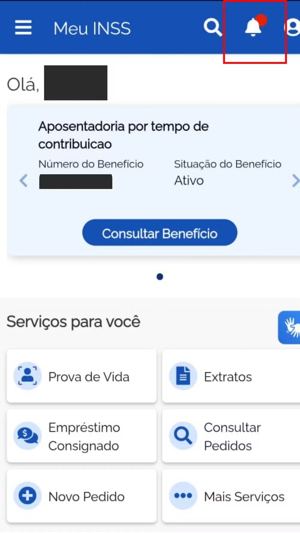 Confira o passo a passo para verificar se você recebeu a mensagem do INSS — Foto: Reprodução