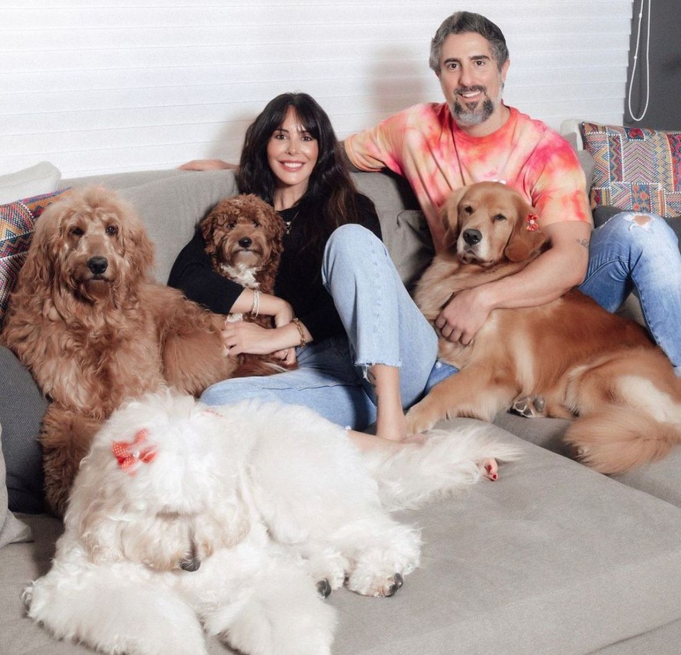Os cachorros da família de Marcos Mion — Foto: Reprodução / Redes Sociais