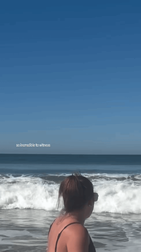 Vídeo viral mostra momento em que tubarão branco salta para fora do mar, apavorando banhistas