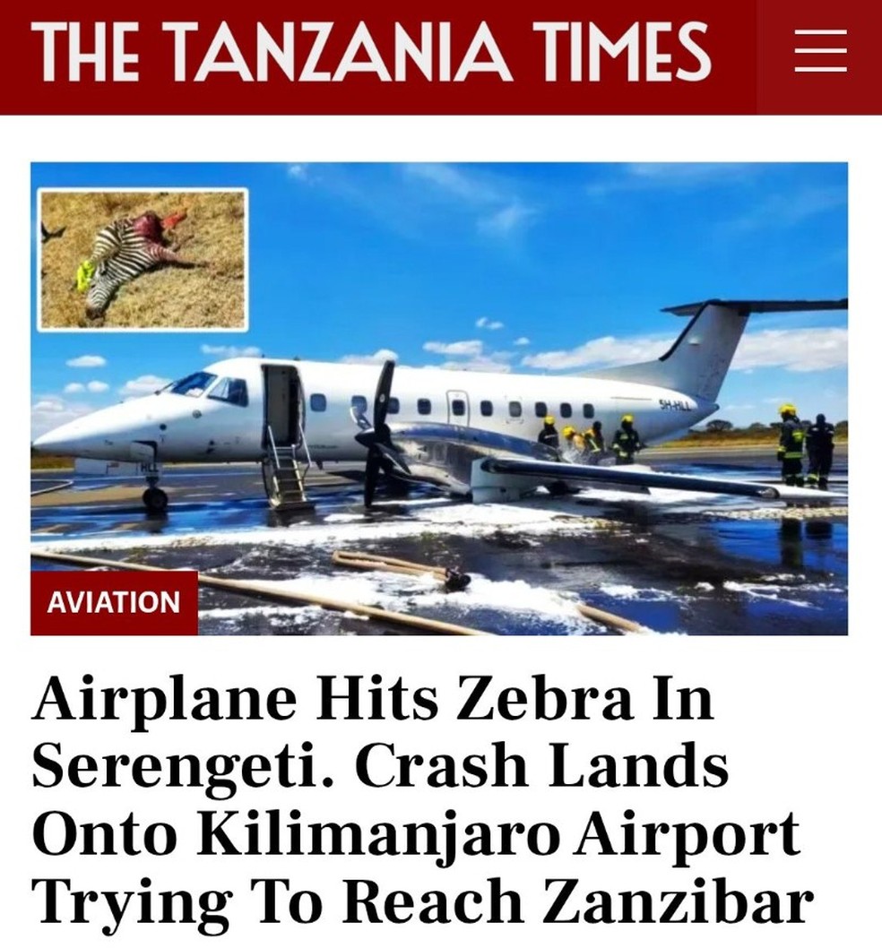 Embraer atinge zebra, e piloto é obrigado a fazer pouso de emergência ...