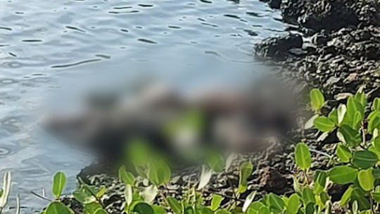 Corpo de homem com sinais de espancamento é encontrado às margens da Lagoa da Barra, na Zona Oeste do Rio
