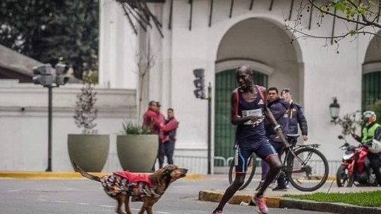 Atleta perde primeiro lugar após ser perseguido por cachorro durante maratona na Argentina