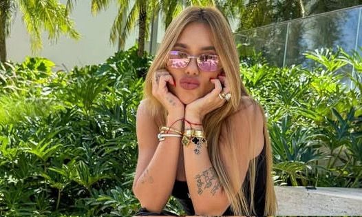 Virginia Fonseca Investigated by Federal Police After Receiving R Million in 44 PIX Transactions: What Happened
