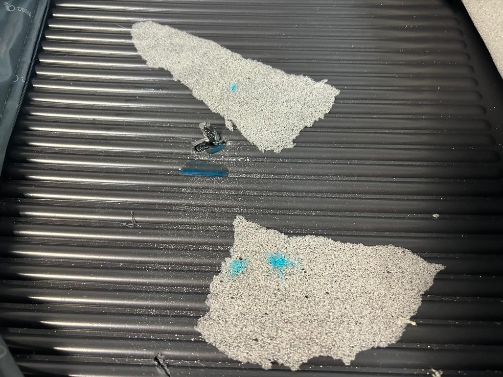 Coca&iacute;na no interior da mala apreendida &mdash; Foto: Reprodu&ccedil;&atilde;o PF