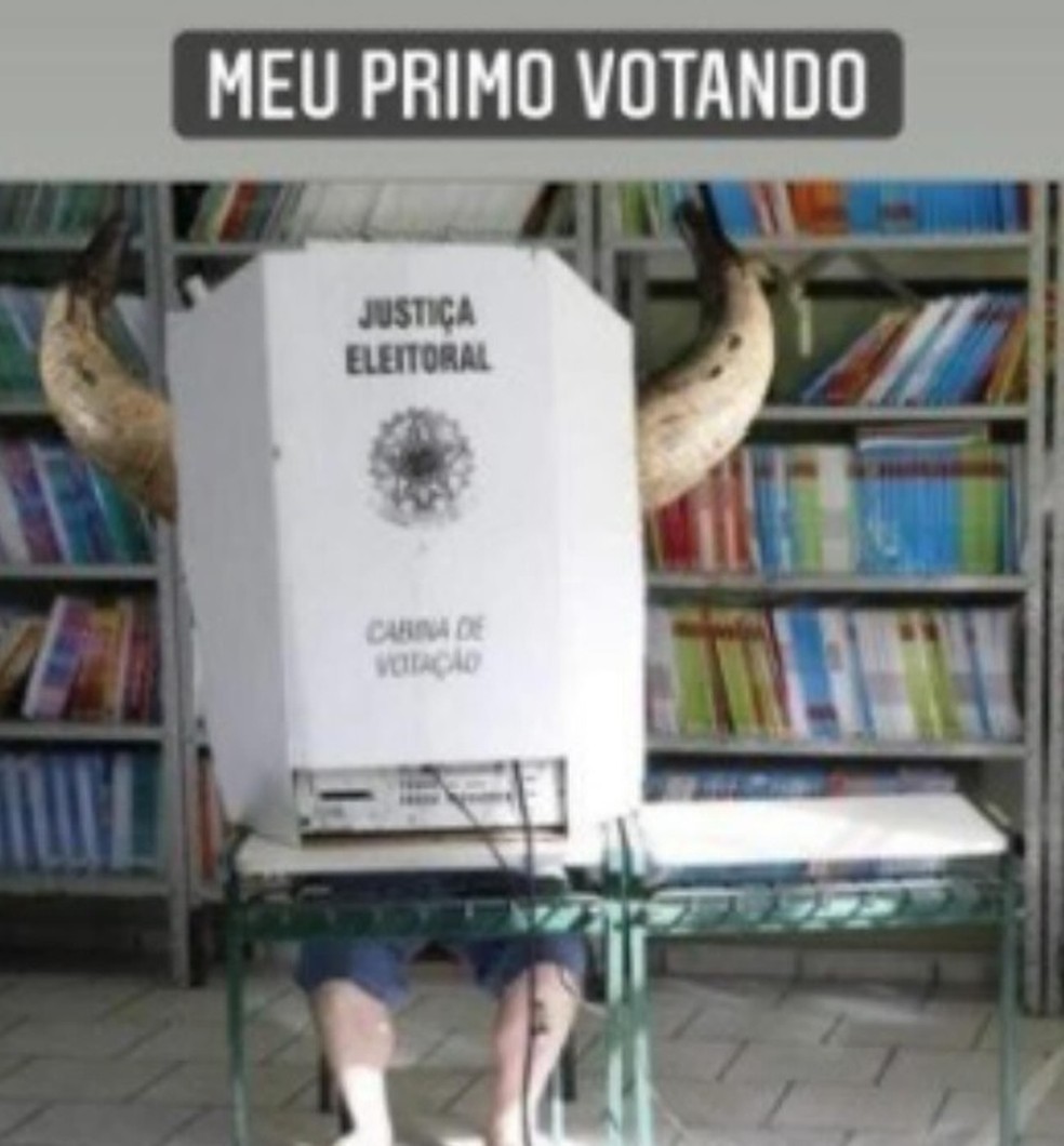 Eleições 2024 rendem memes na web — Foto: Reprodução/Redes sociais