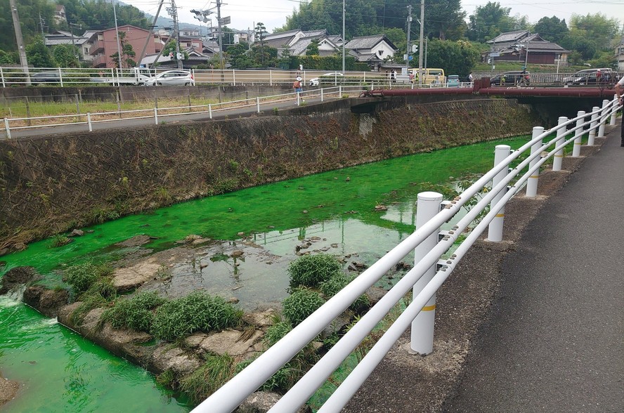 Rio Tatsuta ficou com água tingida de verde neon após despejo de produto químico no Japão