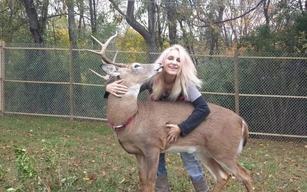 Jodi Proger, de 64 anos, passou 12 anos ajudando veados-de-cauda-branca — Foto: Facebook/Reprodução