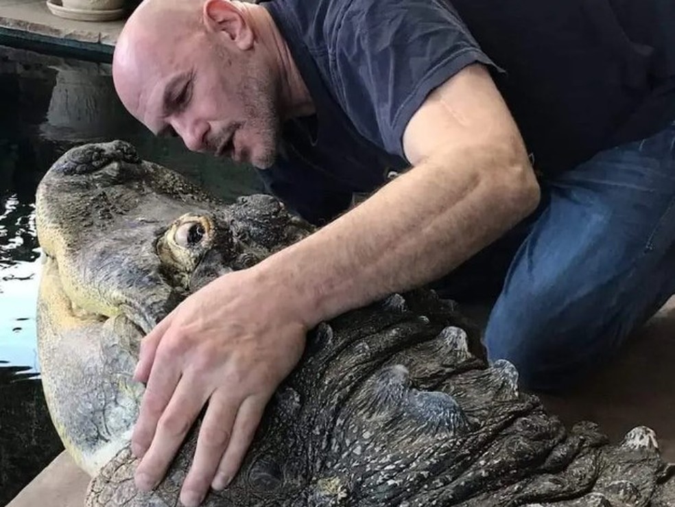 Tony e Albert: 'melhores amigos' &mdash; Foto: Reprodu&ccedil;&atilde;o/Facebook