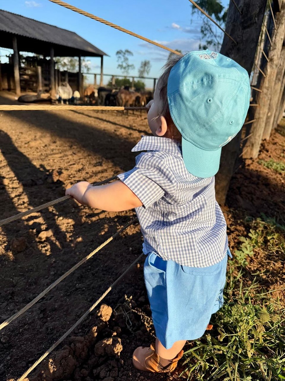 Filhos de Virginia e Zé Felipe passam dias na fazenda com os avós — Foto: Reprodução/Instagram