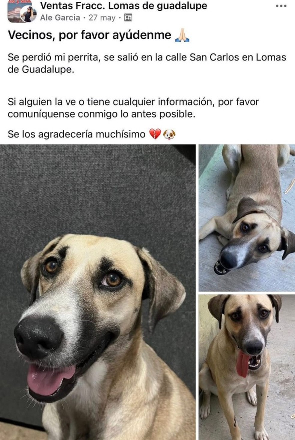 Apelo por informações sobre o paradeiro de La Gorda — Foto: Reprodução/X