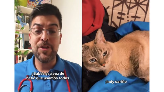 Falar com 'voz de bebê' é mais eficaz para lidar com gatos e cães, confirmam especialistas Falar com 'voz de bebê' é mais eficaz para lidar com gatos e cães, confirmam especialistas