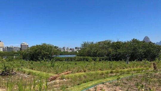 Primeiro trecho naturalizado da Lagoa, no Parque Cantagalo, deve ser inaugurado até o fim de outubro
