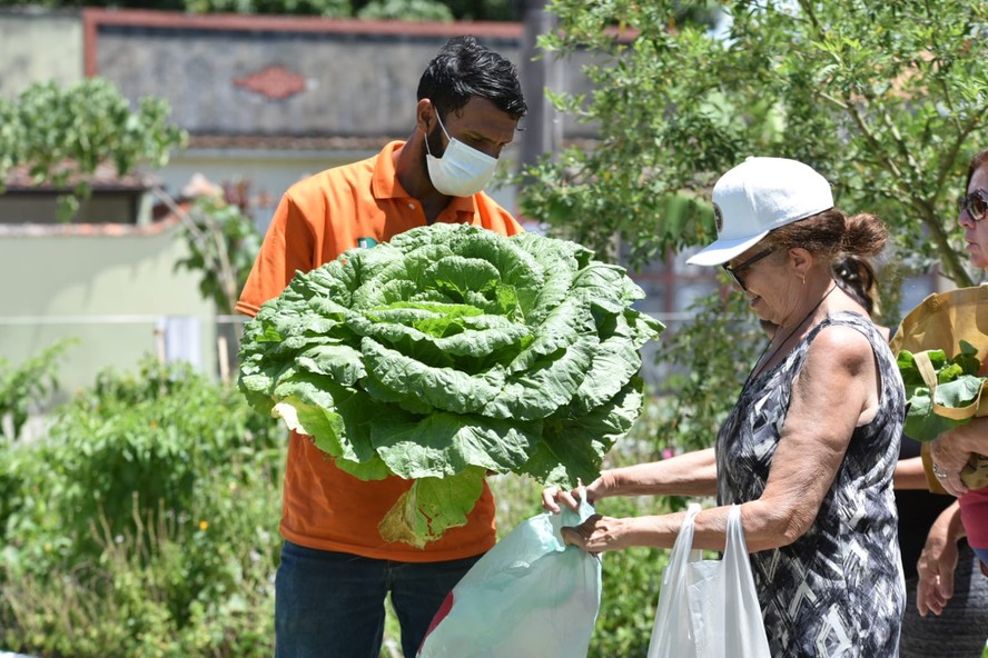 Praças agroecológicas fornecem alimento gratuito para moradores de Maricá