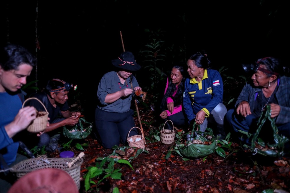 Pesquisadores na região amazônica — Foto: Michael Dantas