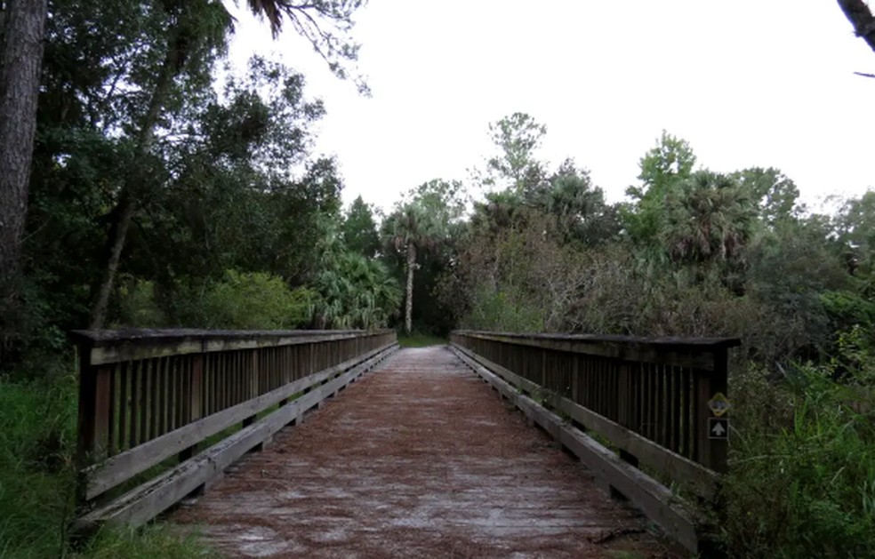 Ponte sobre o rio Econlockhatchee no condado de Seminole, — Foto: Reprodução