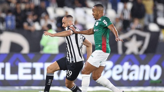 Botafogo empata com Palmeiras no reencontro com Marlon Freitas e Barboza no Nilton Santos