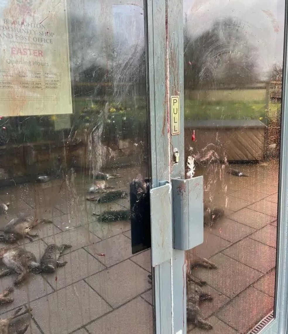 Mistério: dezenas de animais mortos são espalhados em cidade da Inglaterra — Foto: Reprodução