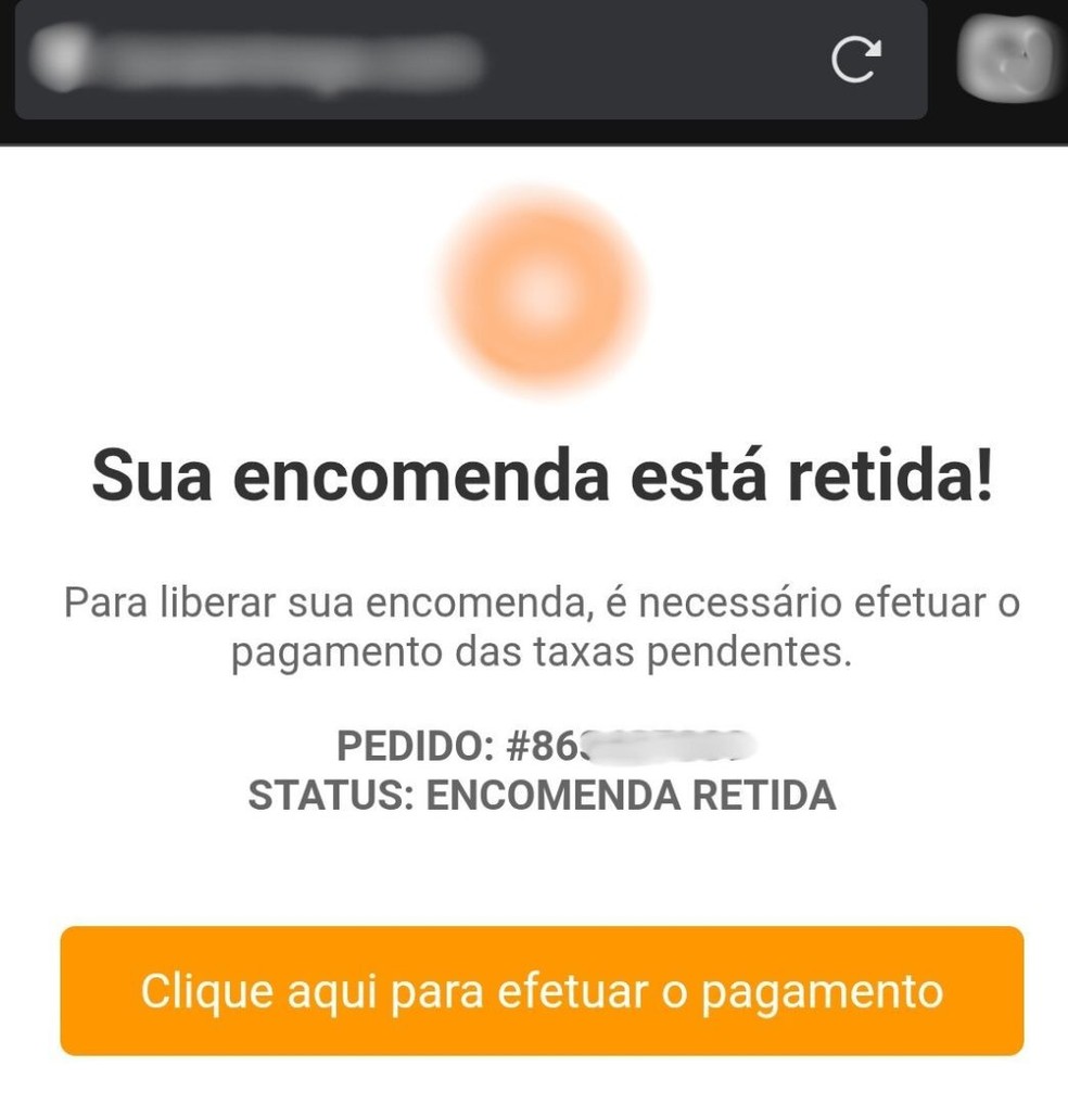 Veja um exemplo de mensagem do golpe da taxa de entrega — Foto: Reprodução