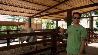 O sítio de Daniel Cady na Bahia — Foto: Reprodução/YouTube