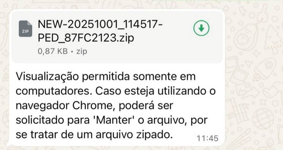 Arquivo é acompanhado de uma mensagem que informa que o conteúdo só pode ser visualizado pelo computador — Foto: Divulgação/Kaspersky