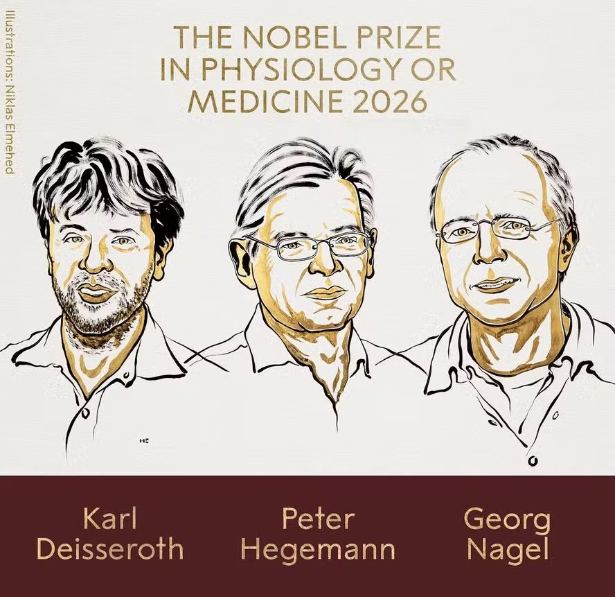 Nobel de Medicina 2026 é concedido a três pesquisadores por descobertas sobre optogenética