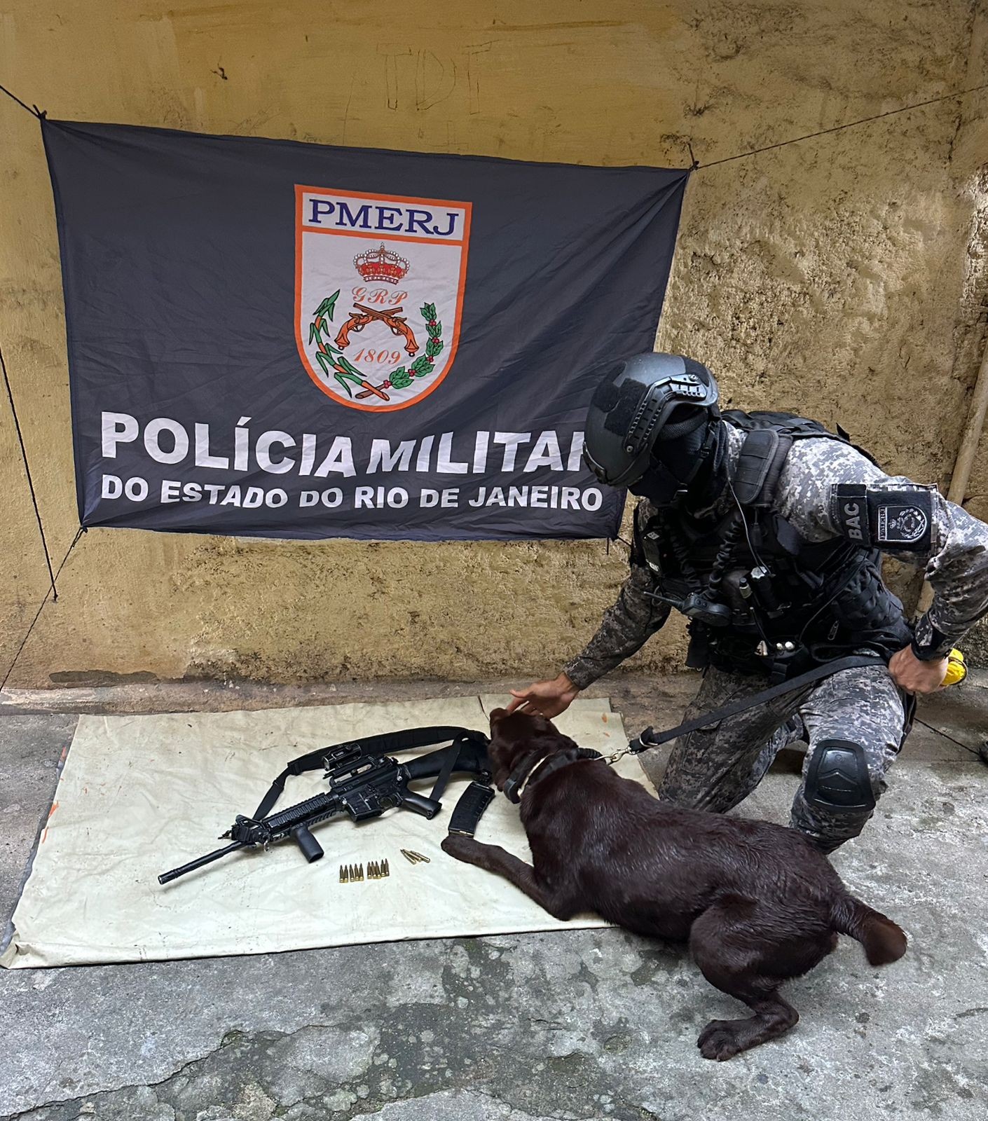 Cão farejador ajuda policiais militares a localizar fuzil avaliado em R$ 60 mil em favela da Ilha do Governador