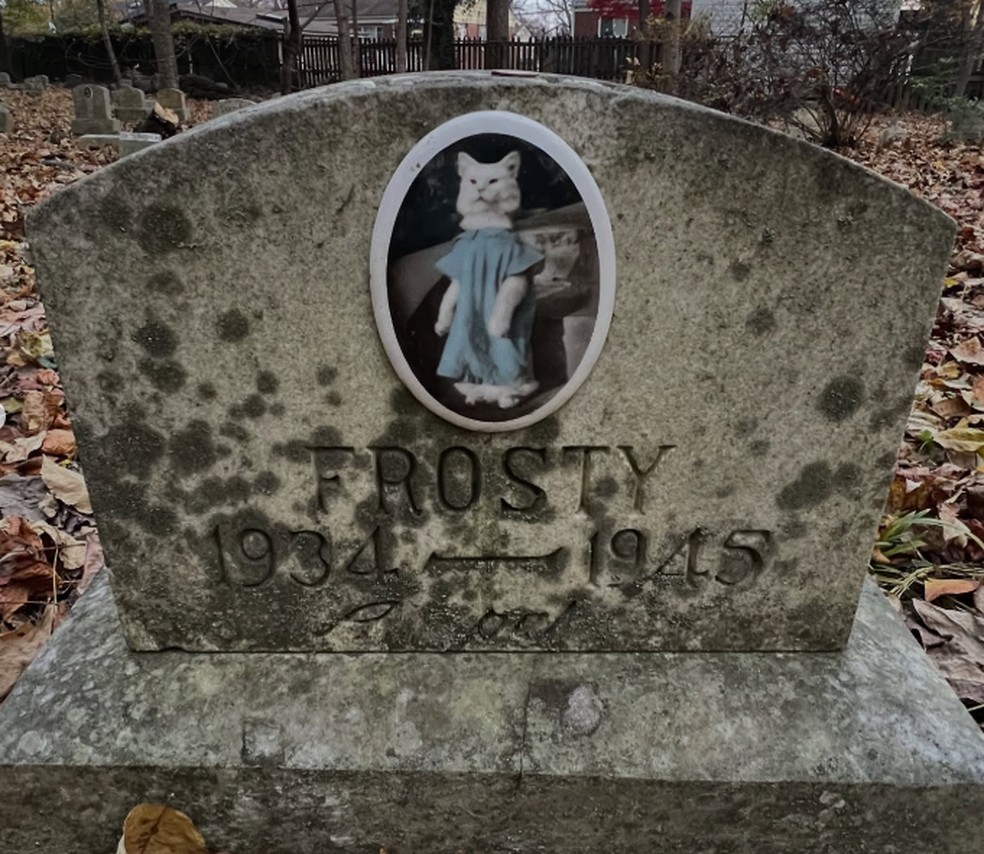 Foto que acompanha lápide de Frosty deixou o gatinho famoso quase um século depois de sua morte — Foto: Reprodção/Instagram/@photosofpetcemeteries_