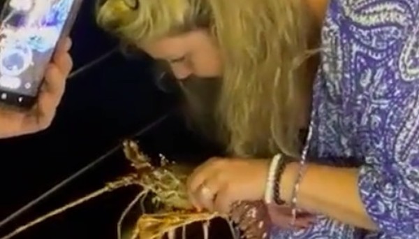 Mulher compra lagosta em restaurante por R$ 1 mil e devolve ao mar