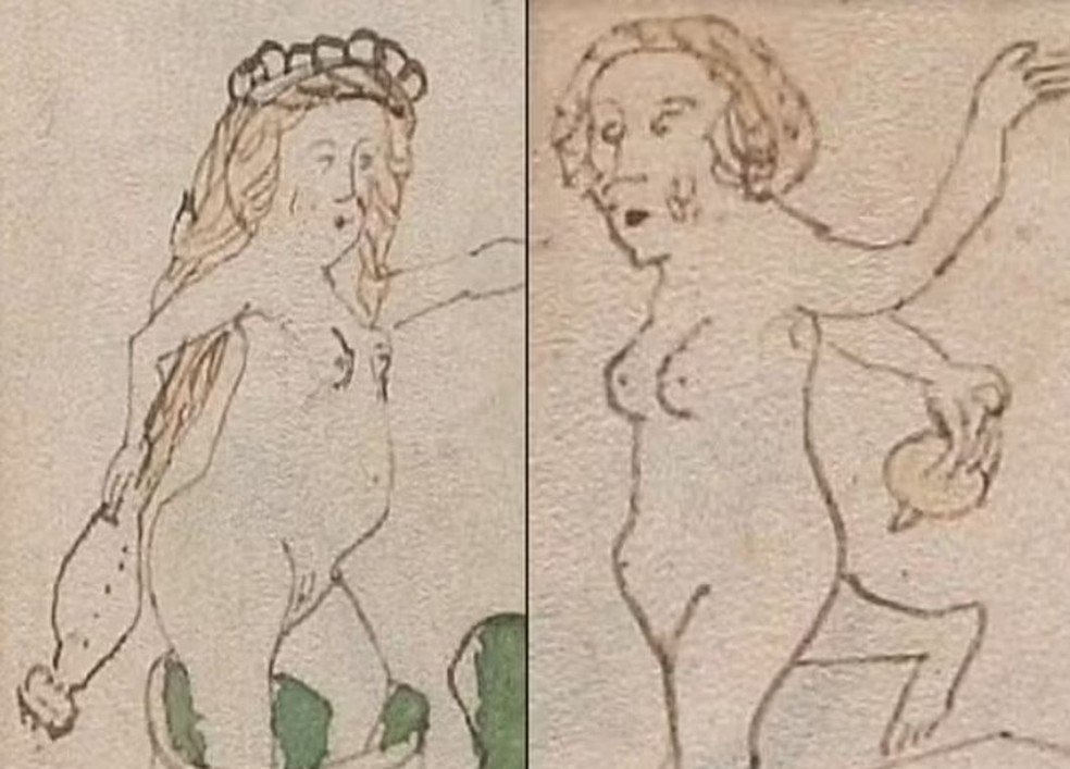 Gravuras no Manuscrito de Voynich — Foto: Reprodução