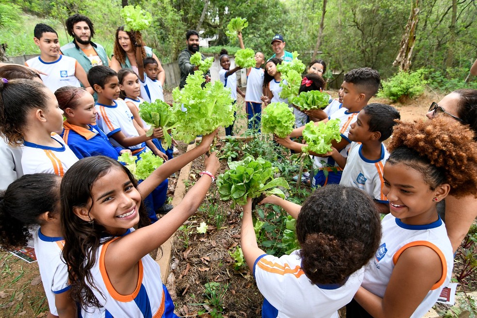 Crianças aprendem cultivo de alimentos no projeto "Escolas que Plantam", em Nova Iguaçu — Foto: Alziro Xavier