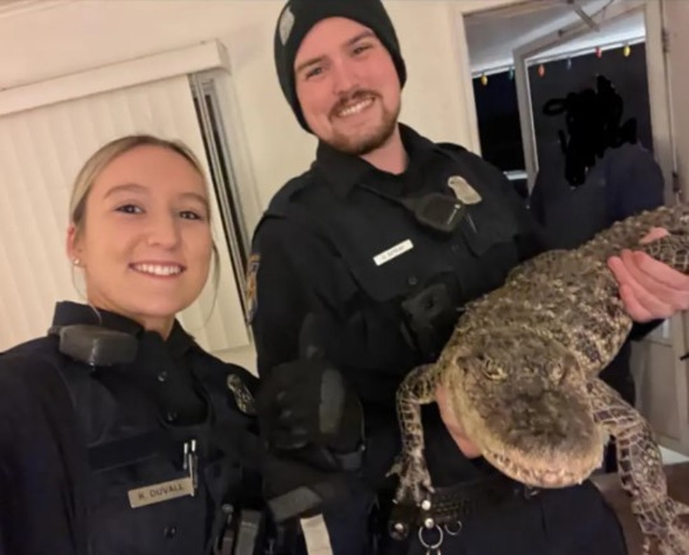 Policial segura jacaré que foi deixado por hóspede em suíte de motel em Michigan, EUA — Foto: Reprodução/City of Cheboygan