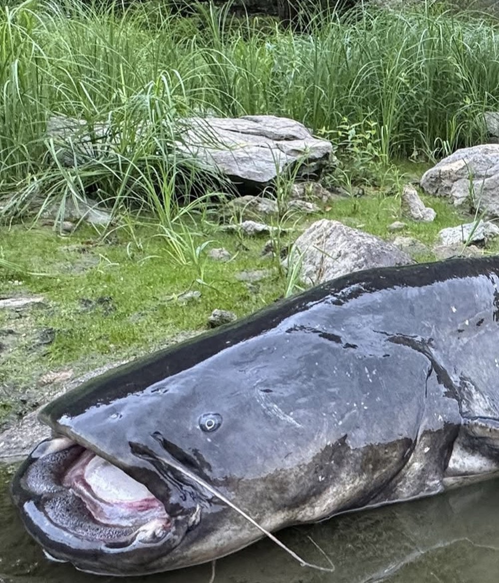 Cappuccio Candela Lampeggiante 90 Gradi Per Moto - Resistente All'Acqua E Alla Polvere - Foto 5