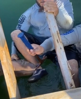 Tubarão mordeu pé de banhista na Flórida e não o largou por 15 minutos — Foto: Reprodução