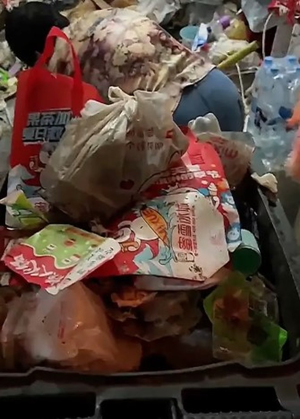 Mulher faz faxina em apartamento na China com lixo acumulado de um ano &mdash; Foto: Reprodu&ccedil;&atilde;o