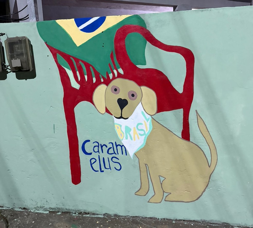 Cachorro caramelo faz parte da decoração da Rua Bahia, em São Gonçalo, para a Copa do Mundo — Foto: Reprodução / Arquivo Pessoal