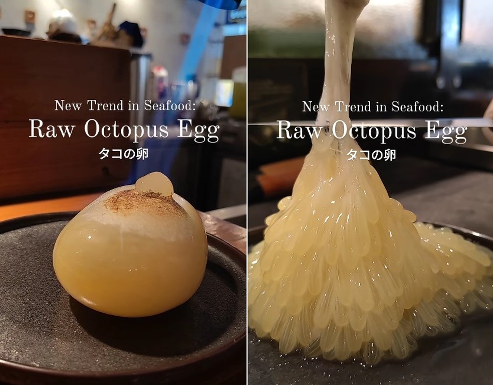 Restaurante de Cingapura causa polêmica ao servir ovas de polvo cruas, parecidas com 'alien' — Foto: Reprodução/Instagram