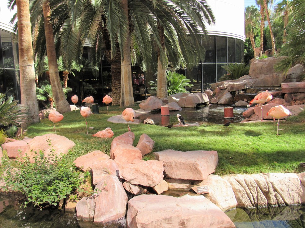 Espaço reservado para flamingos no Hotel e Cassino Flamingo em Las Vegas — Foto: Wikimedia Commons