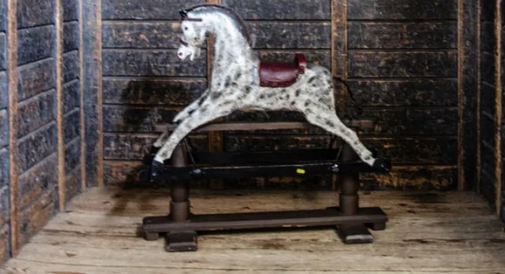 A saga de Chapado, cavalo abandonado e ferido, adotado no interior