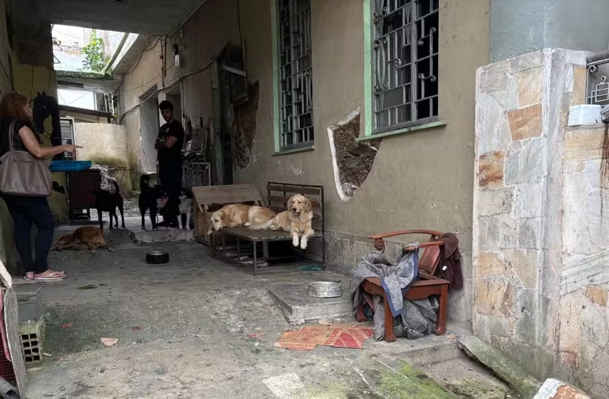 Mulher que mantinha 17 cães em condições precárias em dois imóveis é presa por maus-tratos em Niterói