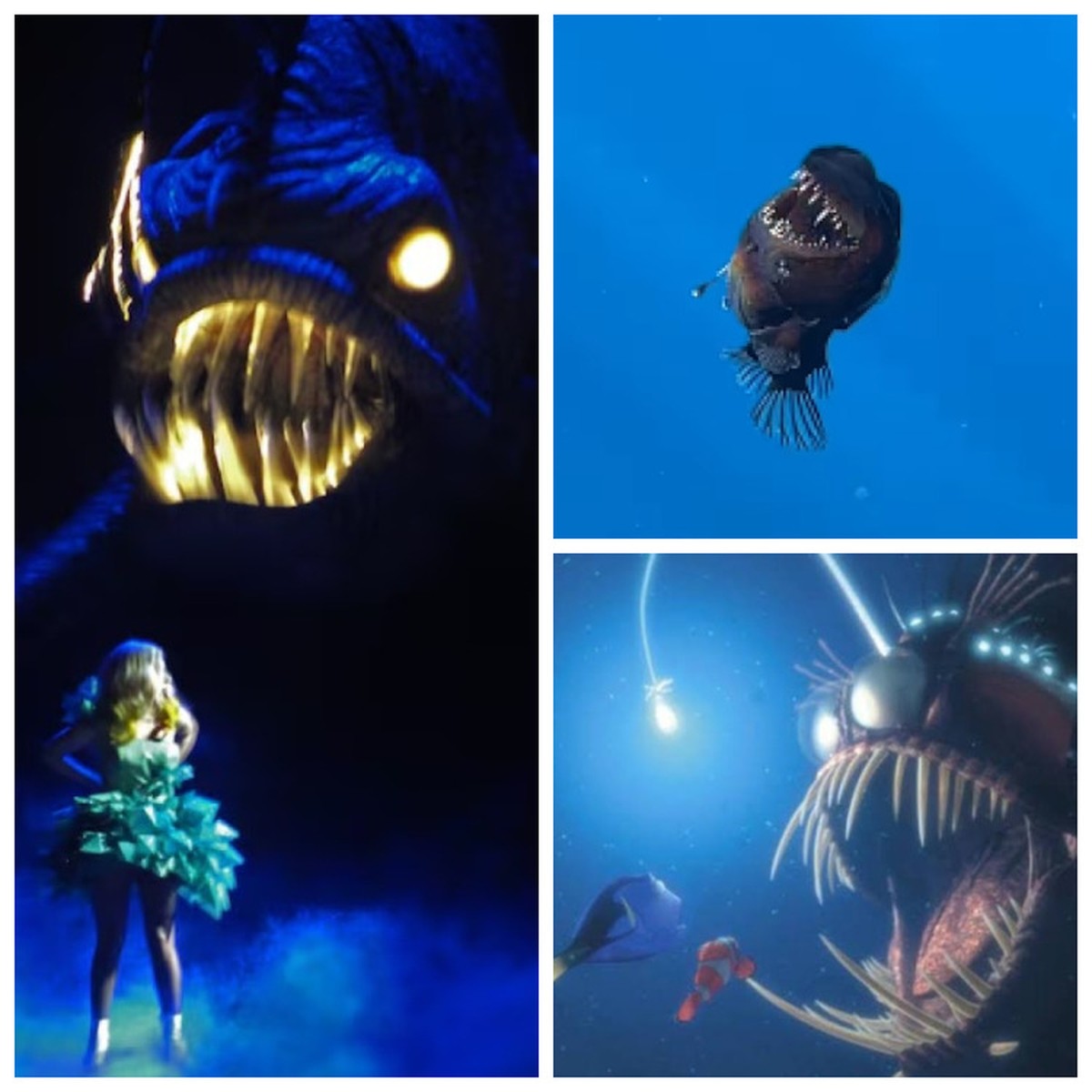 O Peixe 'Diabo-Negro' Real: Como o Filme 'Procurando Nemo' Se Compara à Vida Real?