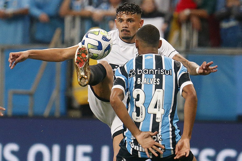 Botafogo será campeão brasileiro? Veja chances e compare as