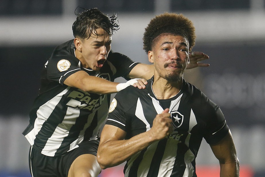 Adryelson e Segovinha comemoram o gol de empate do Botafogo contra o Santos
